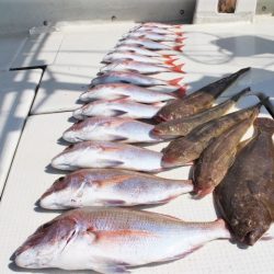 KIM Fishing Guide Service 釣果