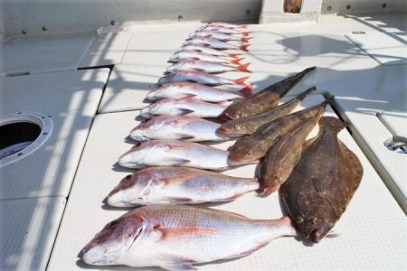 KIM Fishing Guide Ser…