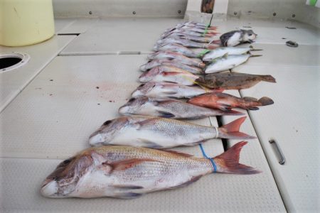 KIM Fishing Guide Ser…