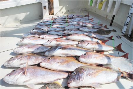 KIM Fishing Guide Ser…