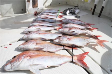 KIM Fishing Guide Ser…