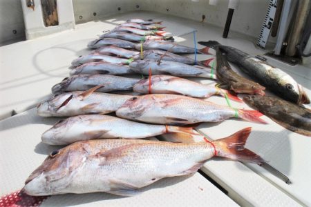 KIM Fishing Guide Ser…