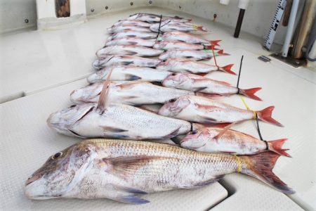 KIM Fishing Guide Ser…