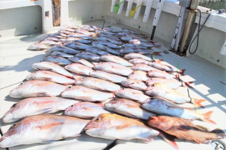 KIM Fishing Guide Ser…