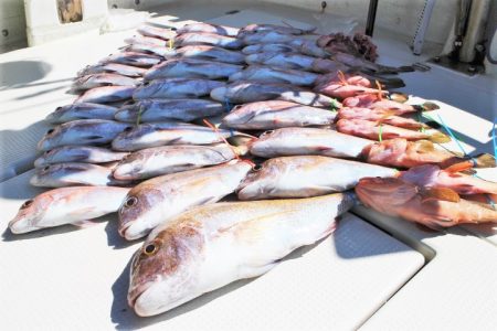 KIM Fishing Guide Ser…