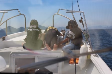 KIM Fishing Guide Service 釣果