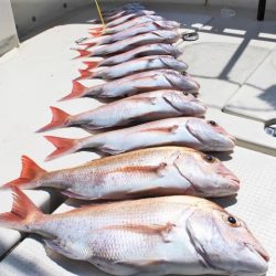 KIM Fishing Guide Service 釣果