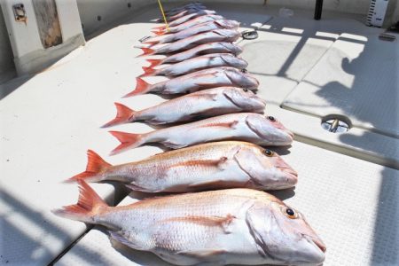 KIM Fishing Guide Ser…