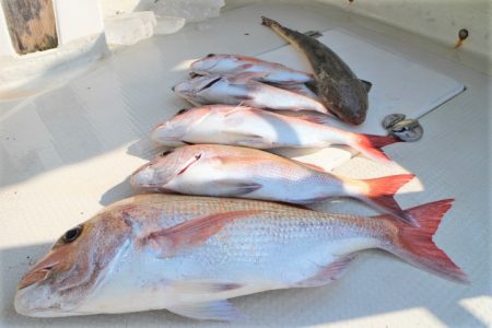 KIM Fishing Guide Ser…