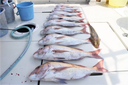 KIM Fishing Guide Ser…