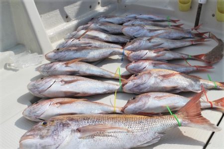 KIM Fishing Guide Ser…