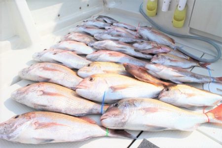 KIM Fishing Guide Ser…