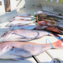 KIM Fishing Guide Service 釣果