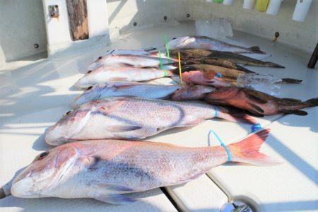 KIM Fishing Guide Ser…