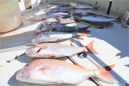 KIM Fishing Guide Ser…