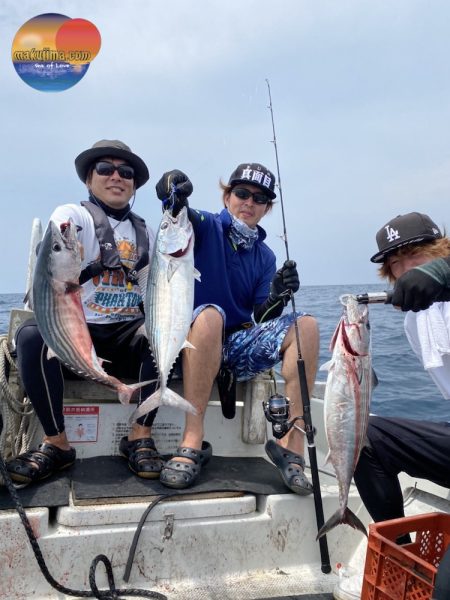 幕島丸 釣果