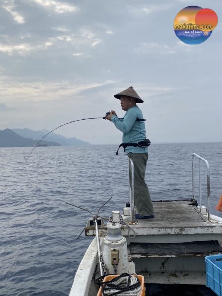 幕島丸 釣果