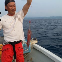 幕島丸 釣果