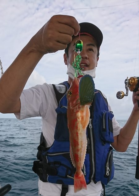 遊漁船 家入 釣果