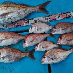 フィッシングガイド りょう 釣果