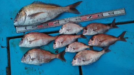 フィッシングガイド りょう 釣果