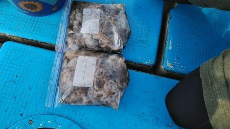 フィッシングガイド りょう 釣果