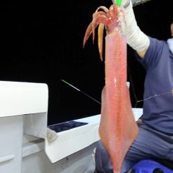 第二龍勢丸 釣果