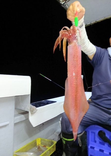 第二龍勢丸 釣果