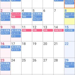 遊漁船 家入 釣果