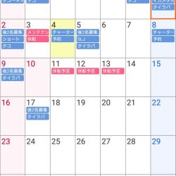 遊漁船 家入 釣果