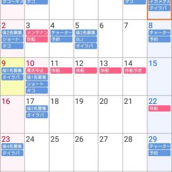 遊漁船　家入 釣果