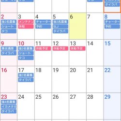 遊漁船 家入 釣果