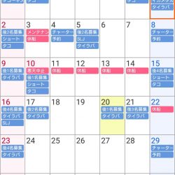 遊漁船 家入 釣果