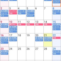 遊漁船 家入 釣果