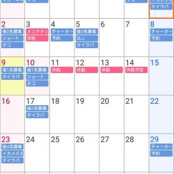 遊漁船 家入 釣果