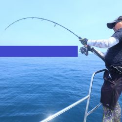 エル・クルーズ 釣果