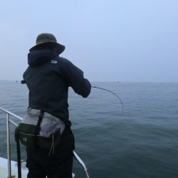 エル・クルーズ 釣果