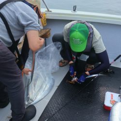 エル・クルーズ 釣果