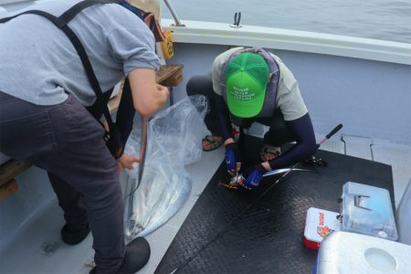 エル・クルーズ 釣果