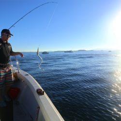 エル・クルーズ 釣果
