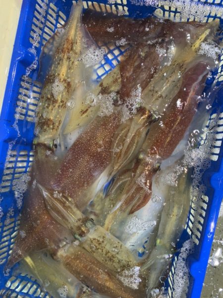 海龍丸（石川） 釣果