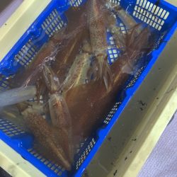 海龍丸（石川） 釣果