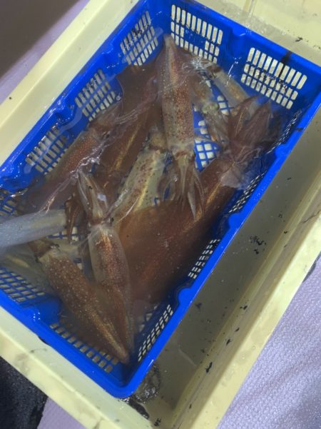 海龍丸（石川） 釣果