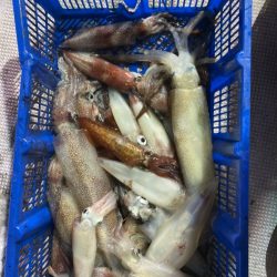 海龍丸（石川） 釣果