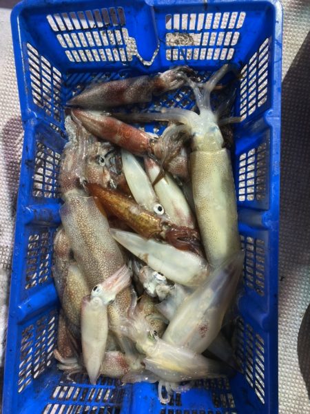 海龍丸（石川） 釣果