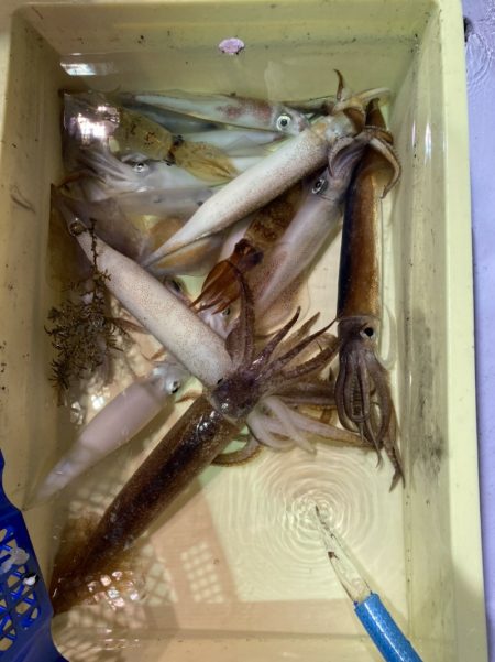 海龍丸（石川） 釣果