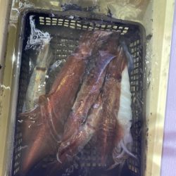 海龍丸（石川） 釣果