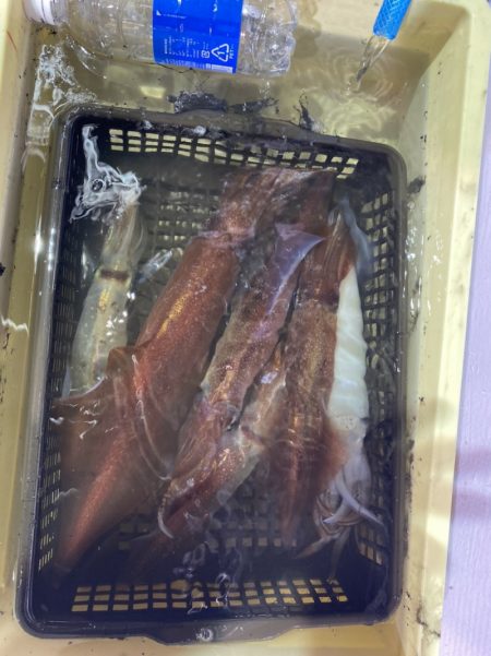 海龍丸（石川） 釣果