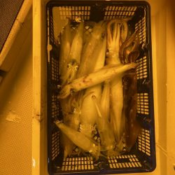 海龍丸（石川） 釣果