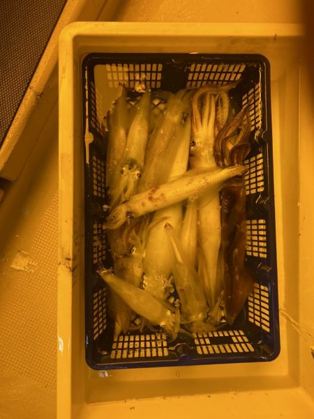 海龍丸（石川） 釣果